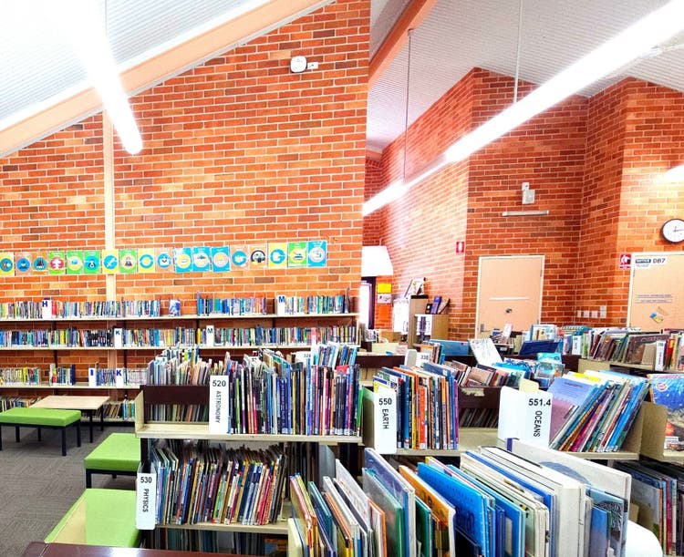 Photo of the school library, of shelves filled with books.